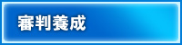 審判養成